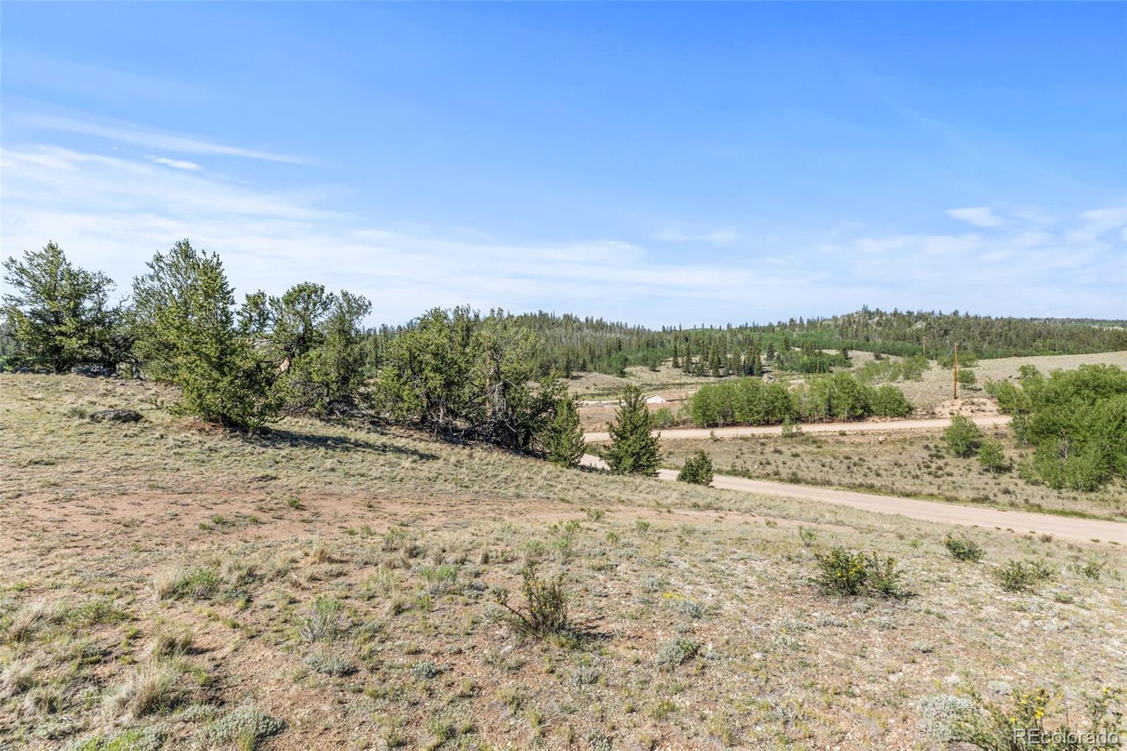 4588 Remington Road Jefferson, CO 80456 - Photo 5 of 11 a view of a dry yard with trees