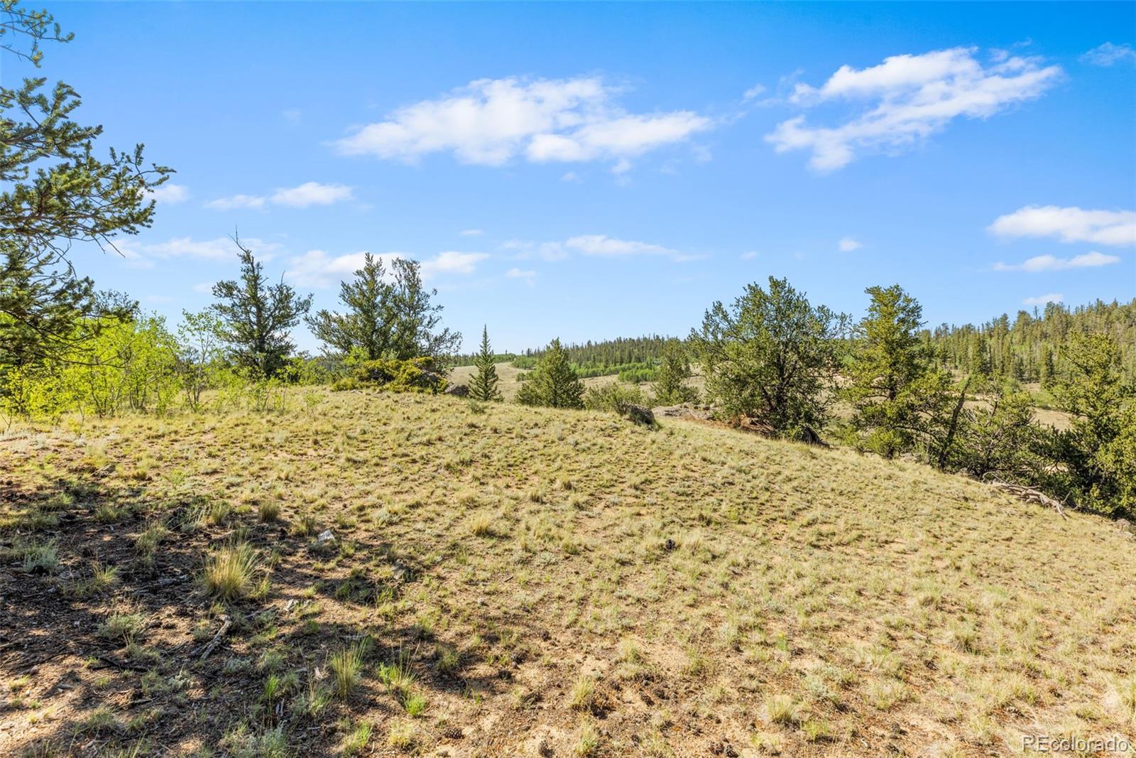 4588 Remington Road Jefferson, CO 80456 - Photo 6 of 11 a view of a yard with yellow lighting