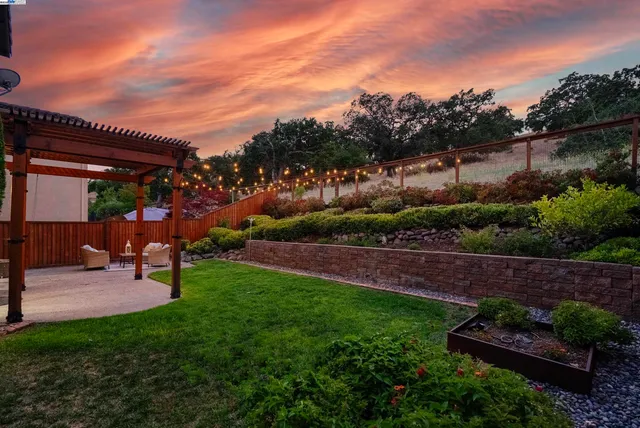a view of a backyard with couches plants and large trees