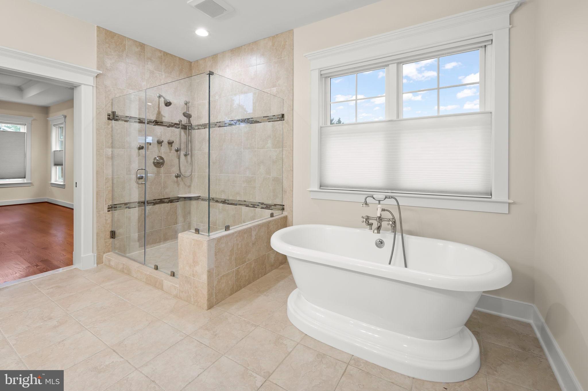 217 Pleasant Street Southwest Vienna, VA 22180 - Photo 54 of 80 a bathroom with a sink and mirror with bathtub
