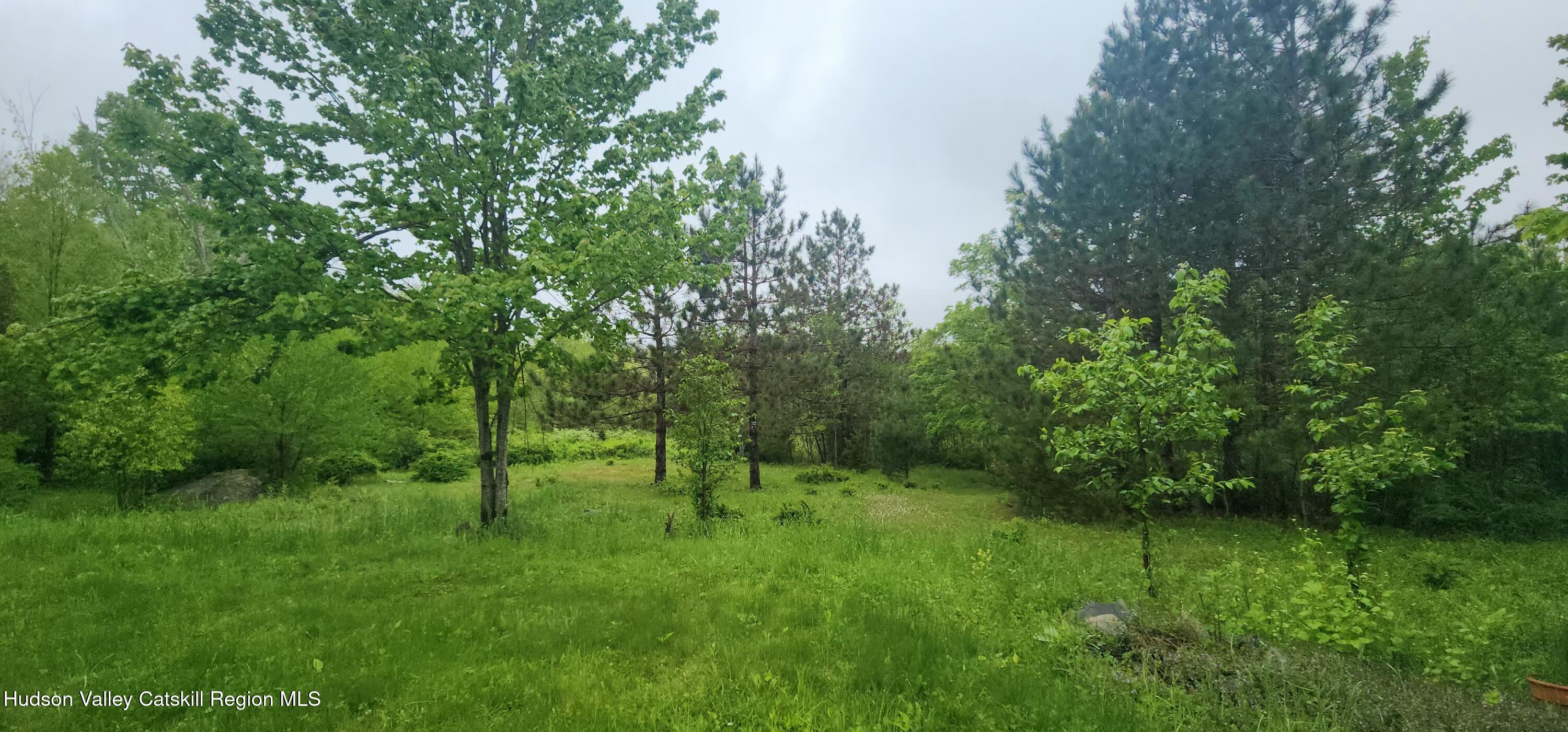 143 Pond View Road Gilboa, NY 12076 - Photo 15 of 18 land