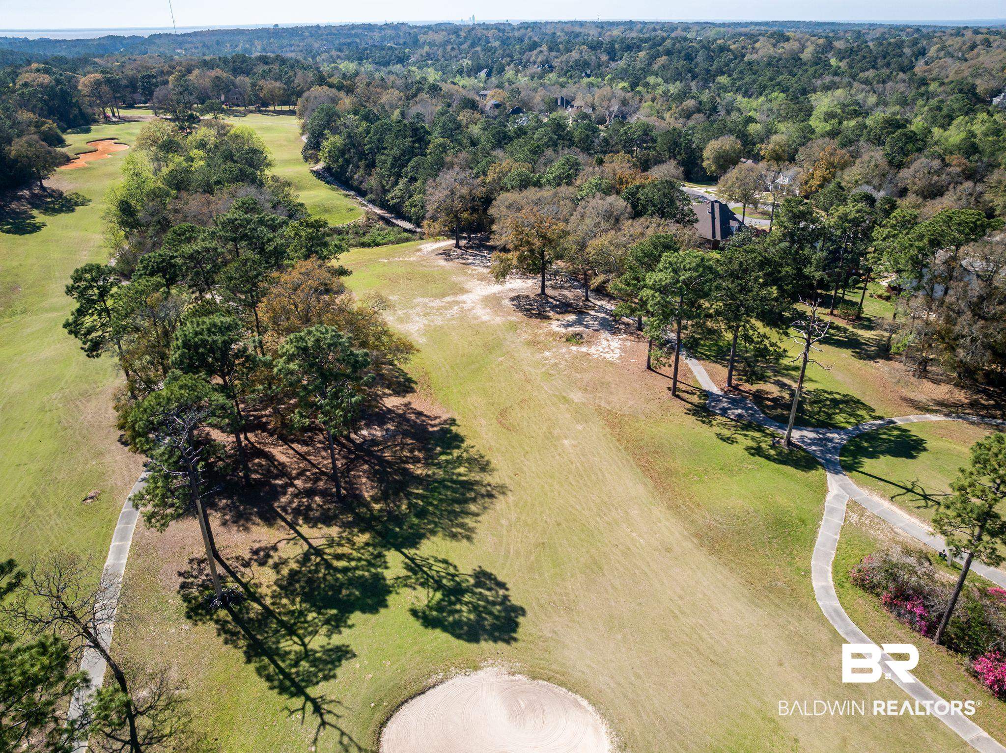 30151 Dolive Ridge Daphne, AL 36527 - Photo 35 of 37 Bird's eye view with a forest view