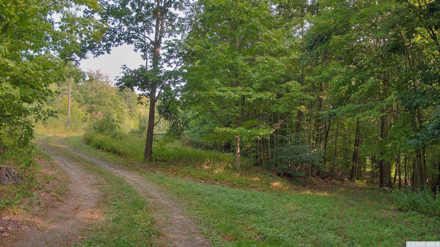 9 Donnely Road Claverack, NY 12521 - Photo 3 of 10