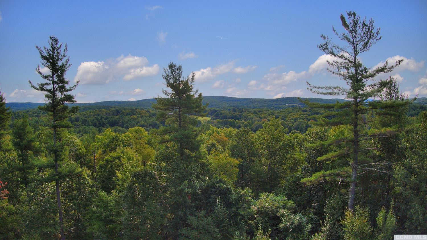 9 Donnely Road Claverack, NY 12521 - Photo 6 of 10 a view of a lake