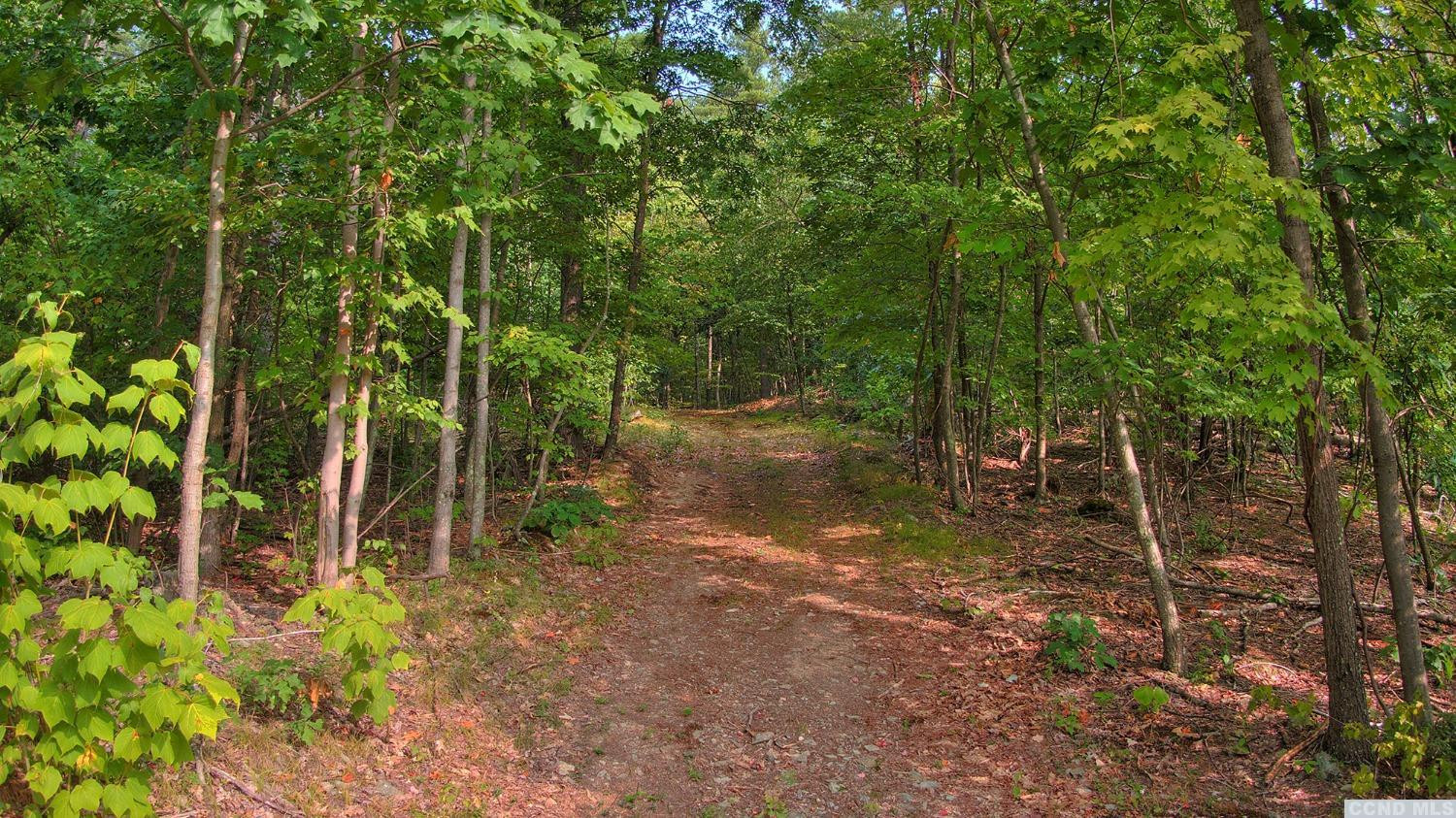 9 Donnely Road Claverack, NY 12521 - Photo 7 of 10 a view of a forest