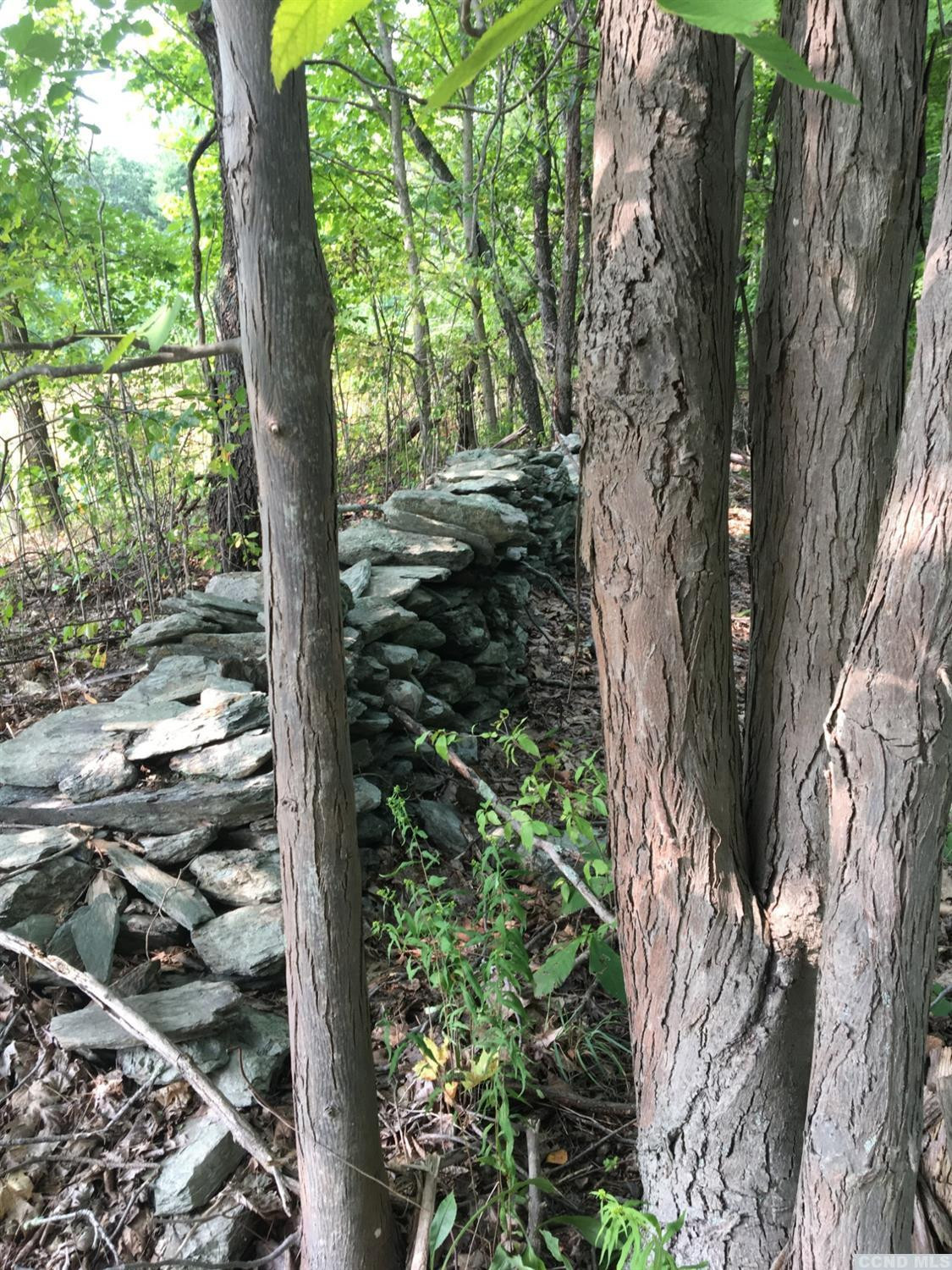 9 Donnely Road Claverack, NY 12521 - Photo 8 of 10 a view of a tree in a yard