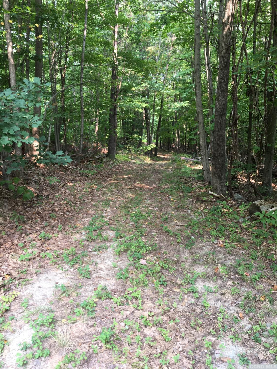 9 Donnely Road Claverack, NY 12521 - Photo 9 of 10 a view of outdoor space and green space