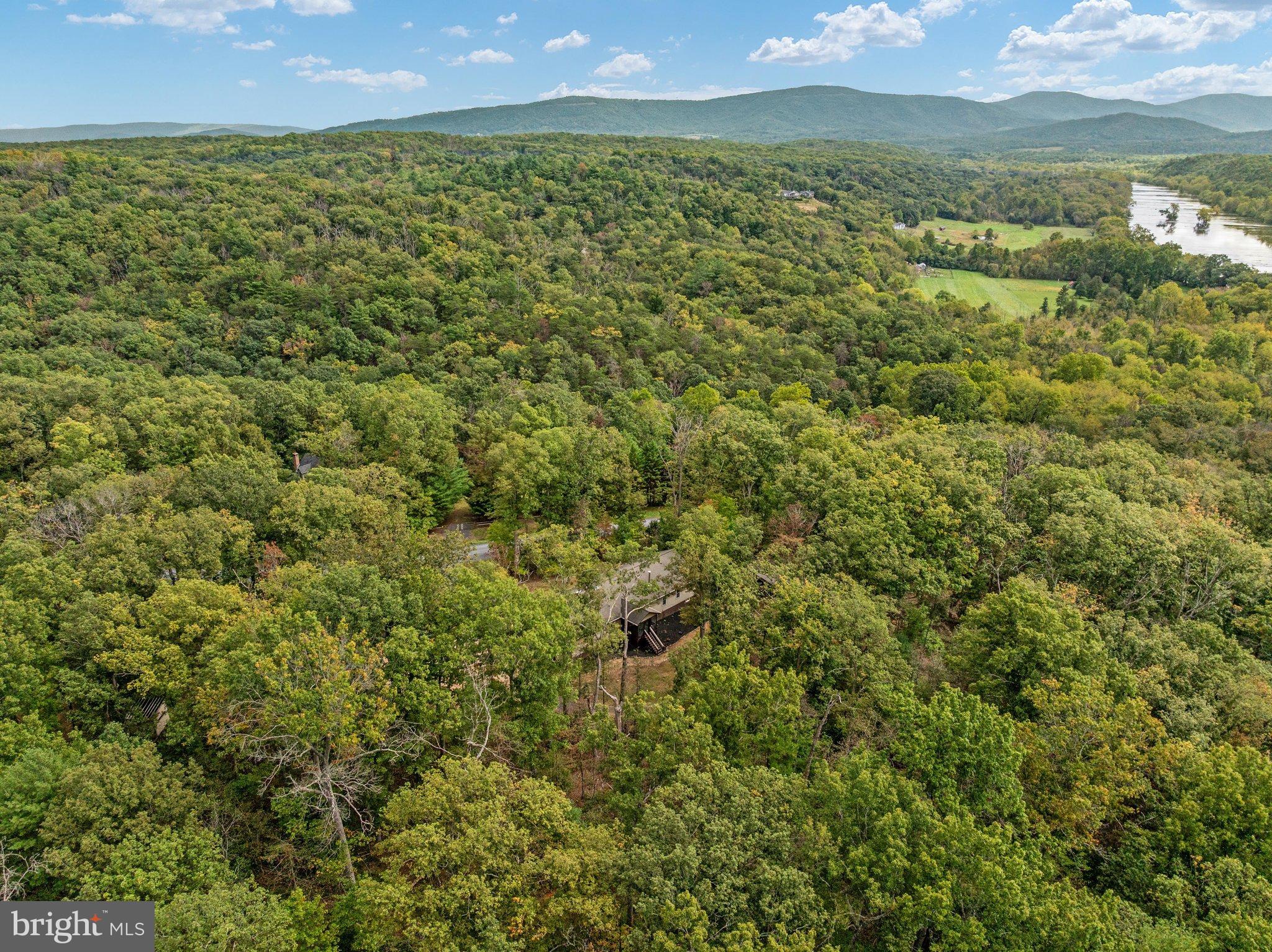 3823 Panhandle Road Front Royal, VA 22630 - Photo 66 of 78 DJI_20260929122620_0519_D-ABSALT-SEPT2026 65