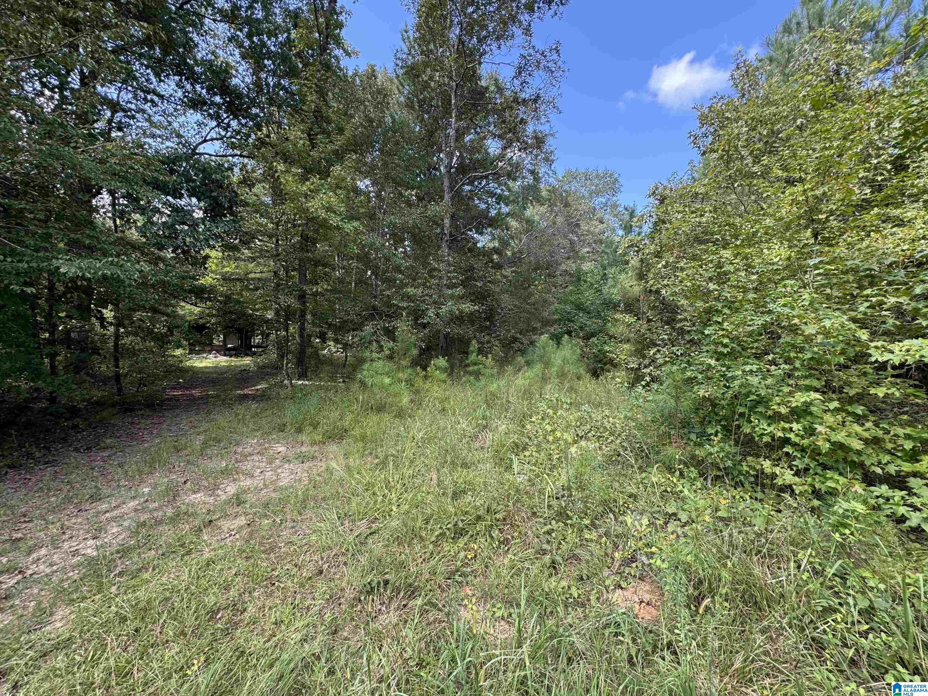 20394 County Road 55 Sterrett, AL 35147 - Photo 13 of 43