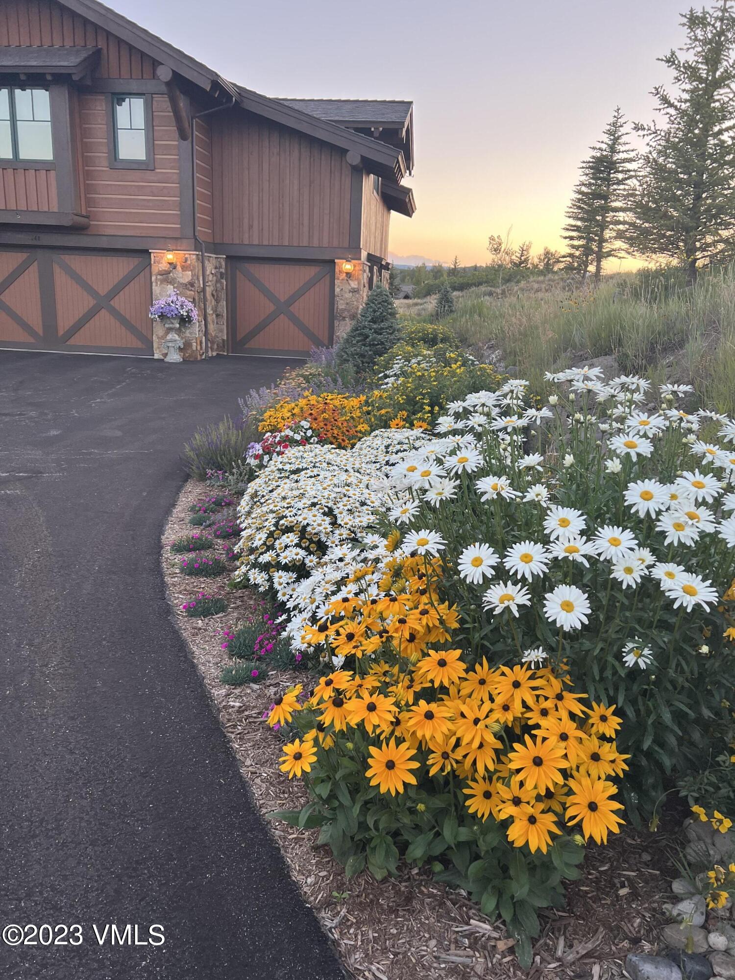 940 Summit Trail Edwards, CO 81632 - Photo 52 of 64 a view of a back yard of the house and front view of a house
