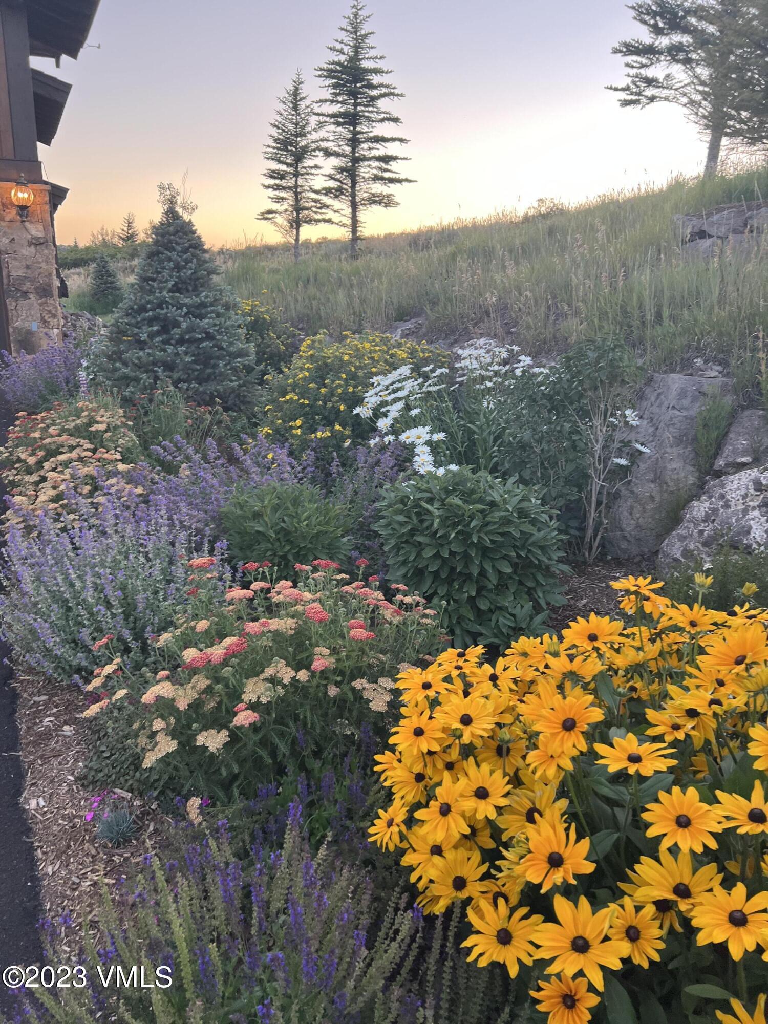 940 Summit Trail Edwards, CO 81632 - Photo 54 of 64 IMG_5731