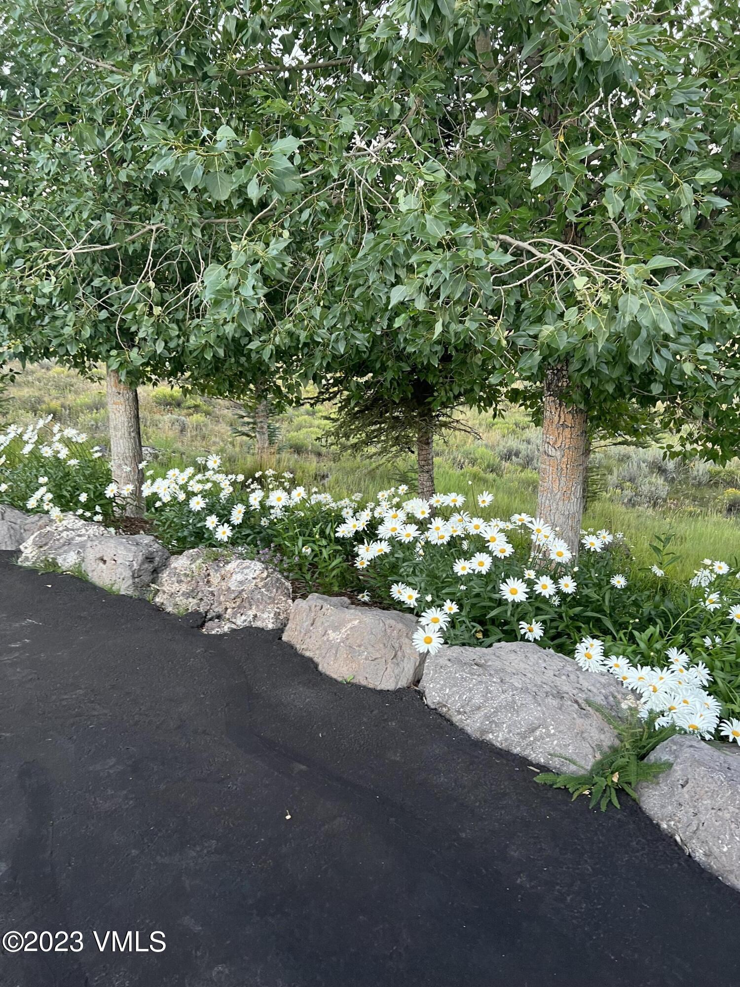 940 Summit Trail Edwards, CO 81632 - Photo 55 of 64 a view of a street with a bench
