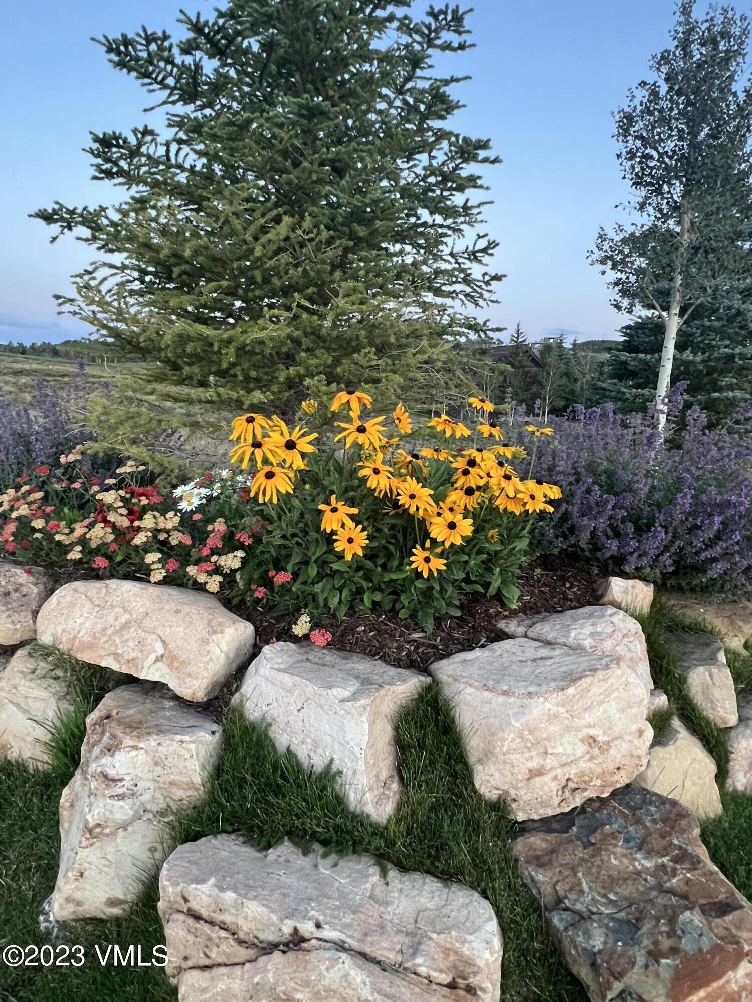 940 Summit Trail Edwards, CO 81632 - Photo 56 of 64 IMG_5749