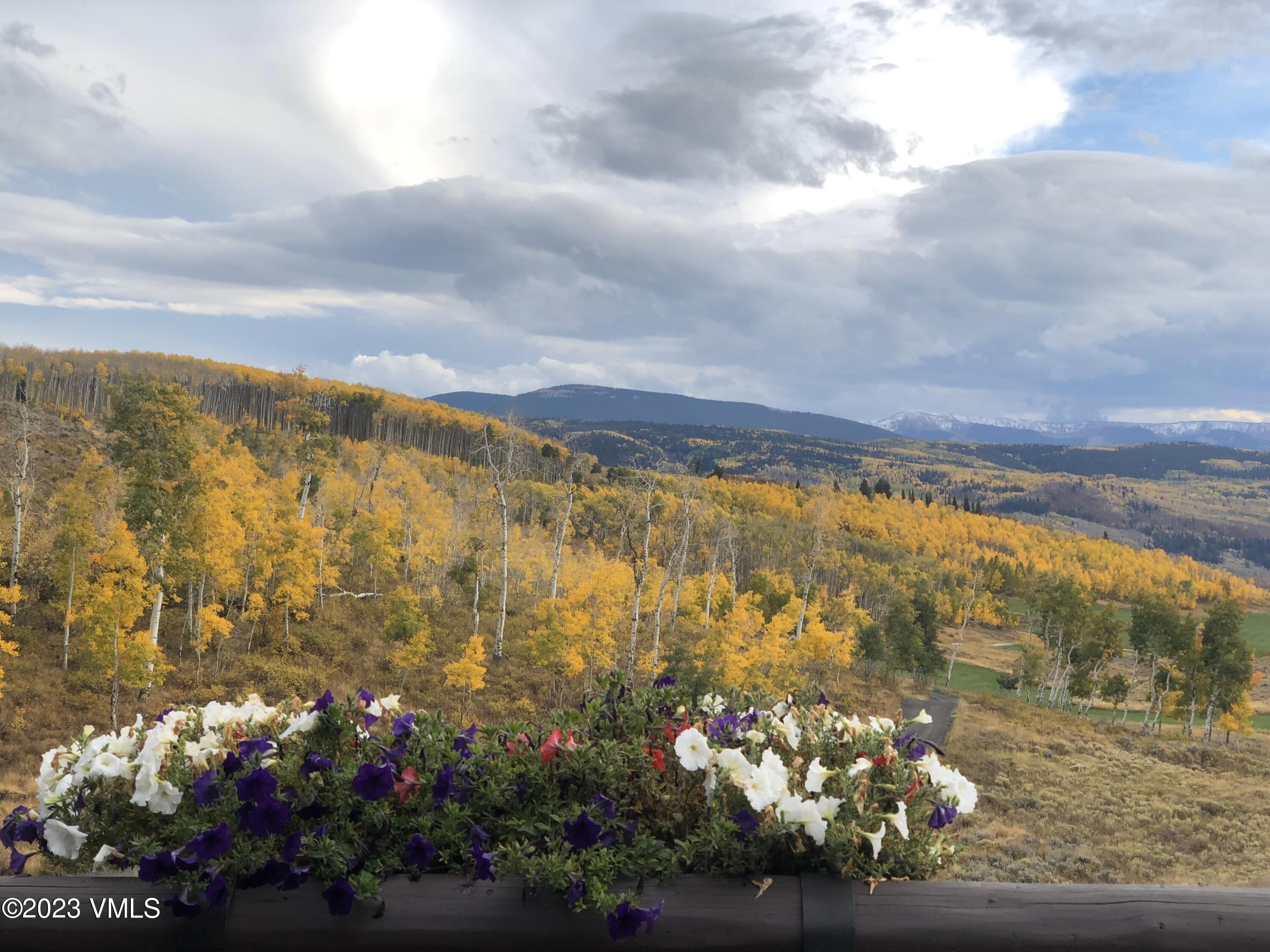 940 Summit Trail Edwards, CO 81632 - Photo 58 of 64 Fall Colors with Flowers at Summit Trail