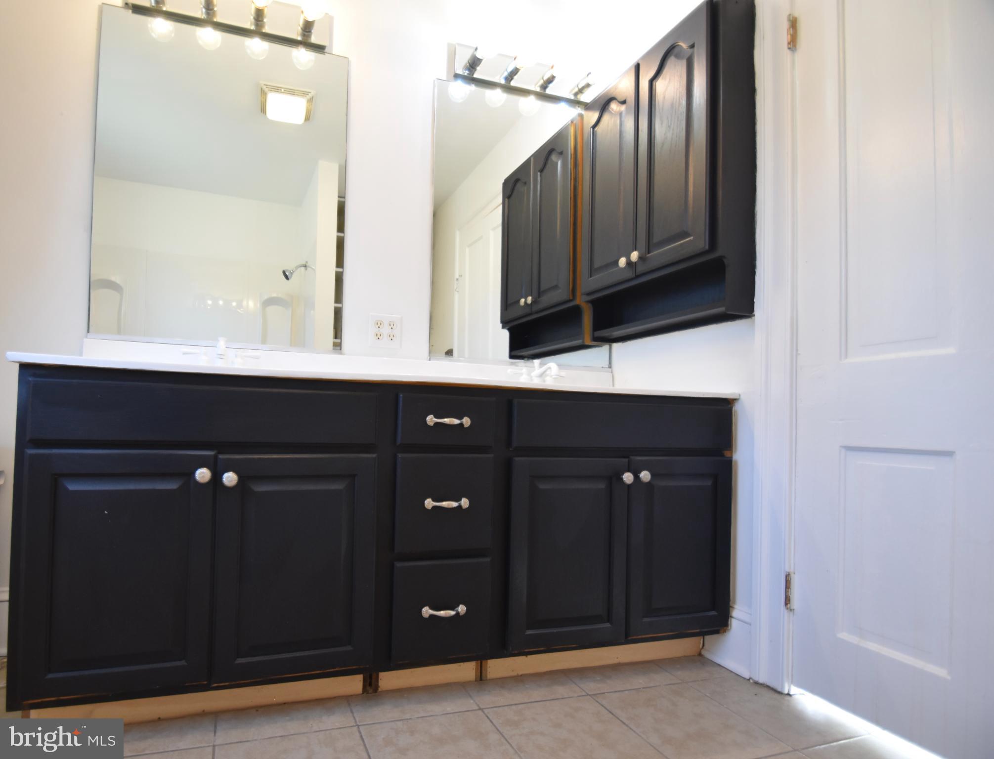 115 Maple Avenue Goldsboro, MD 21636 - Photo 5 of 15 Sleek black cabinetry in a bright bathroom