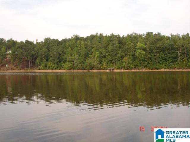 Cedar Valley Drive, Unit 5 Wedowee, AL 36278 - Photo 5 of 6