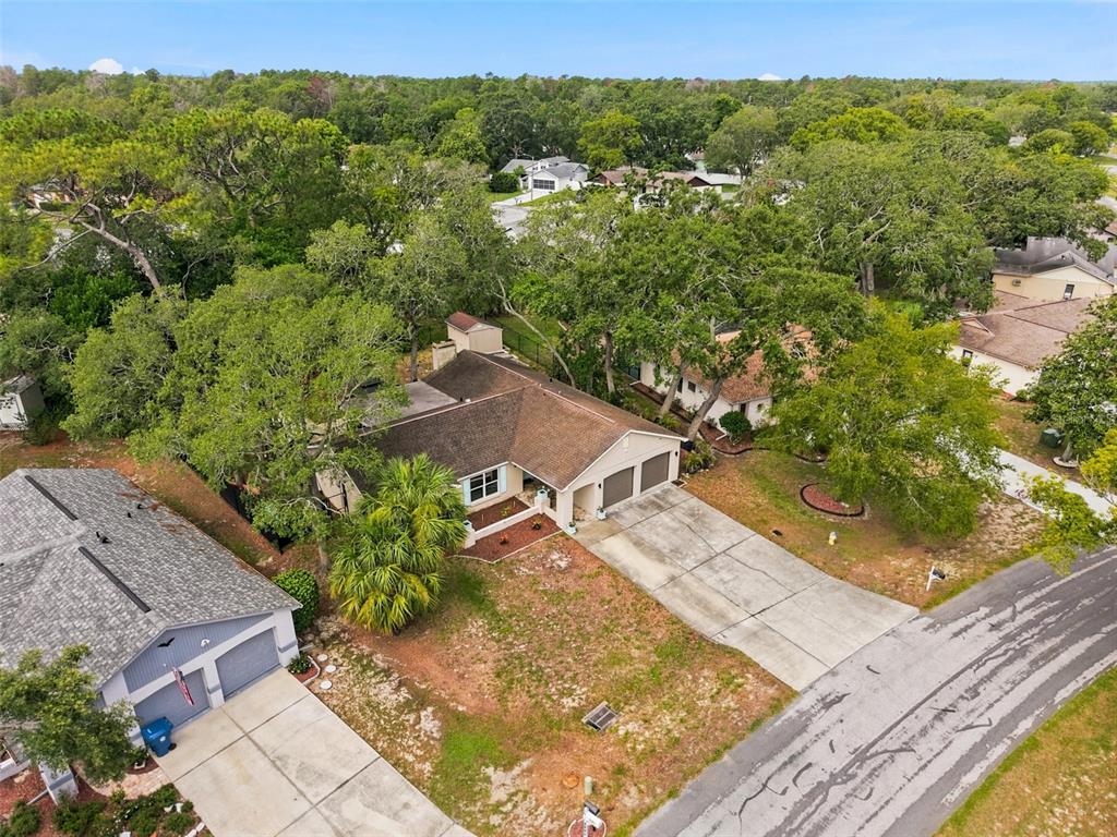 7407 Philatelic Drive Spring Hill, FL 34606 - Photo 38 of 43