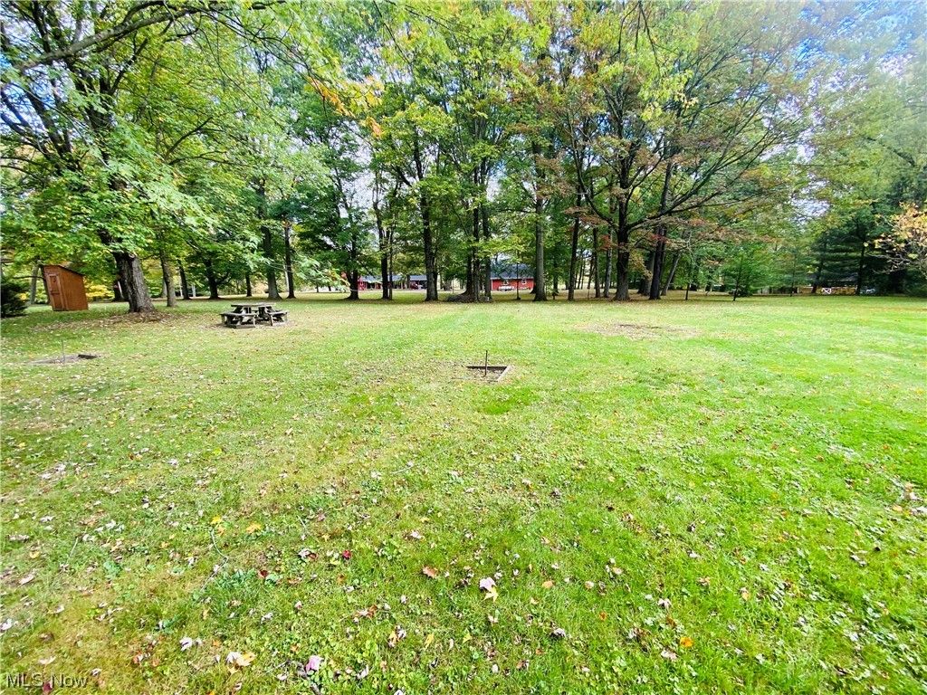 19119 West Middletown Road Beloit, OH 44609 - Photo 5 of 28 View of yard