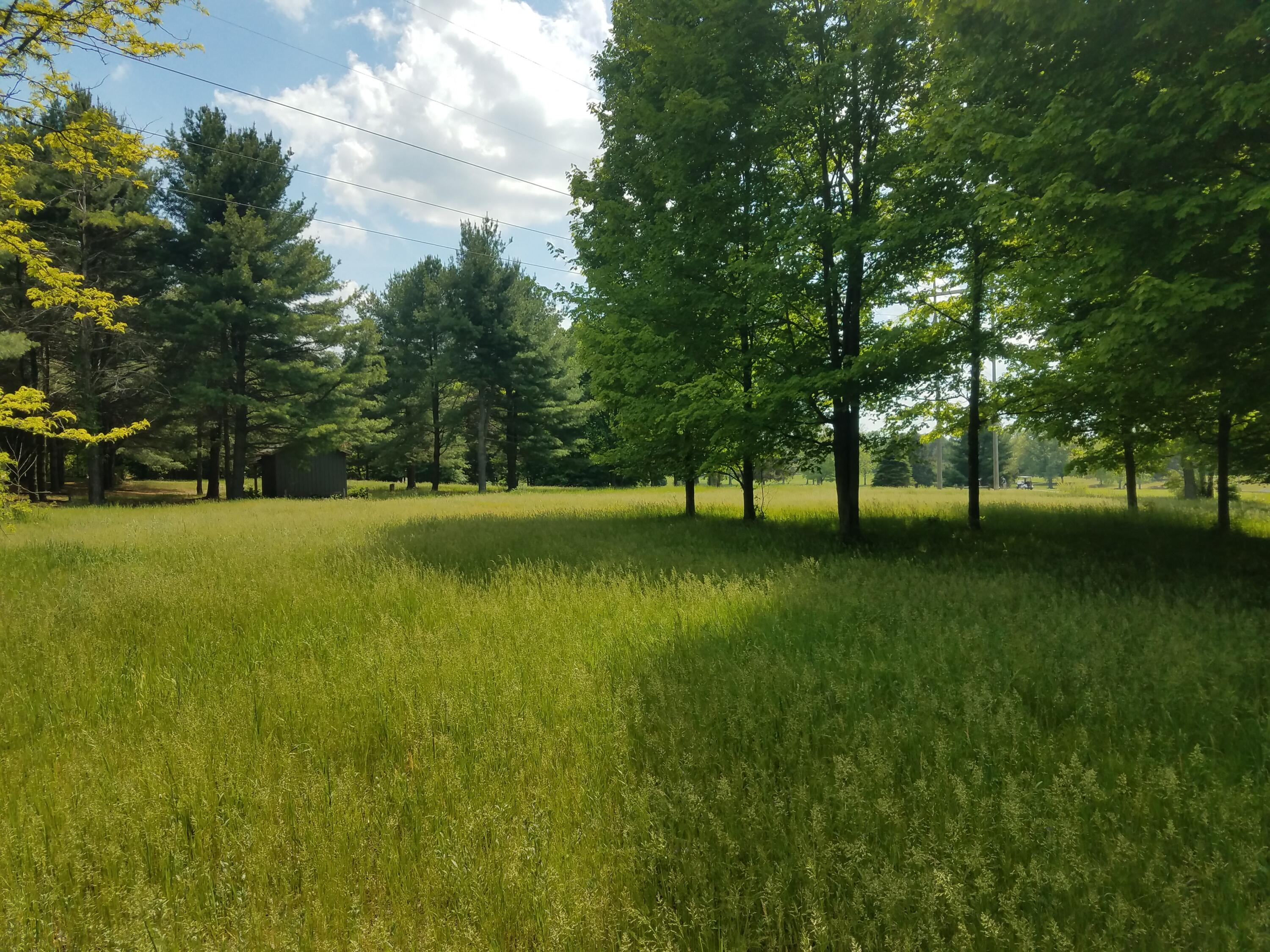 8 Mullen Ridge Drive Delton, MI 49046 - Photo 1 of 32 20210524_154245