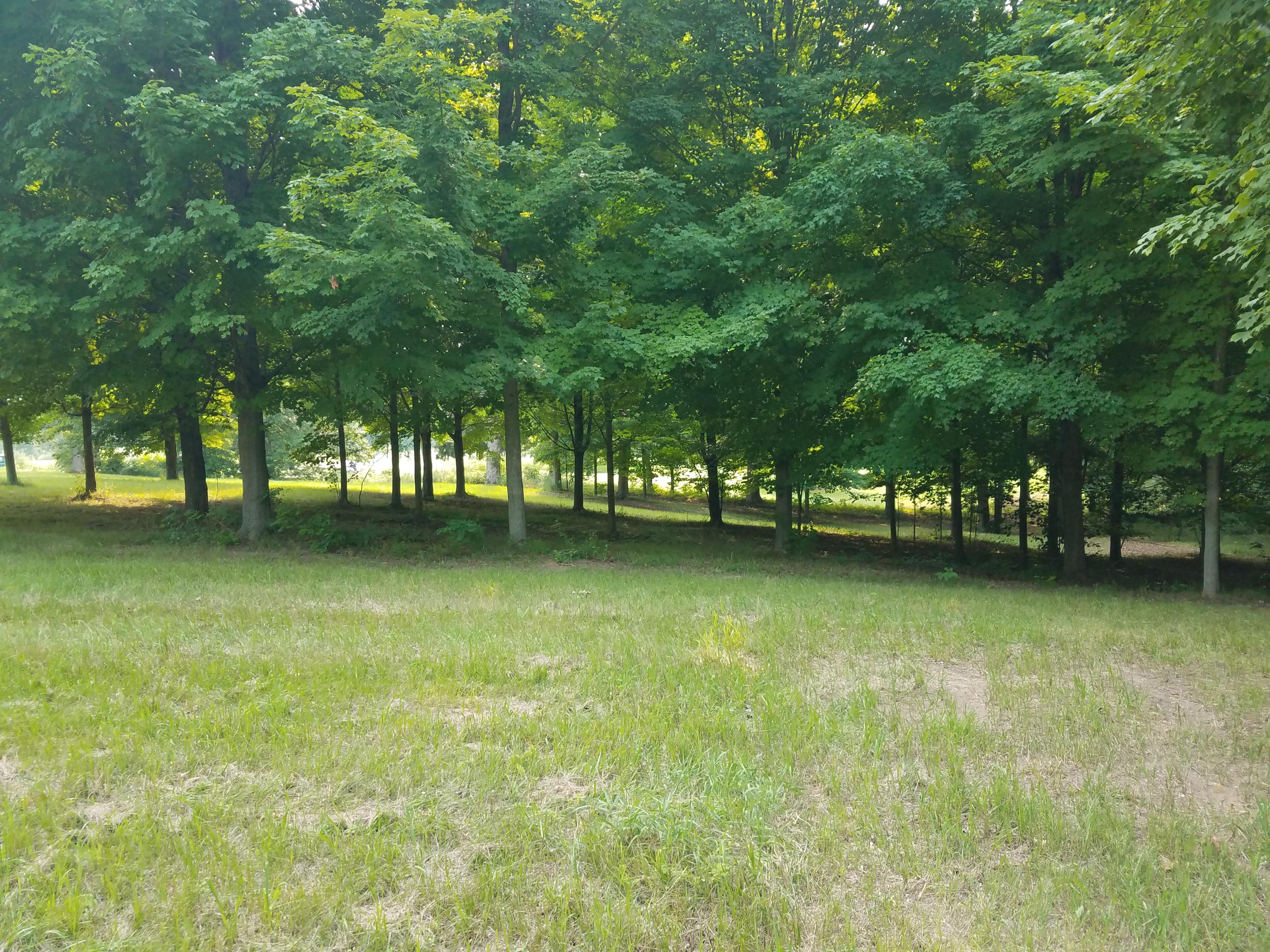 8 Mullen Ridge Drive Delton, MI 49046 - Photo 27 of 32 20210728_172023