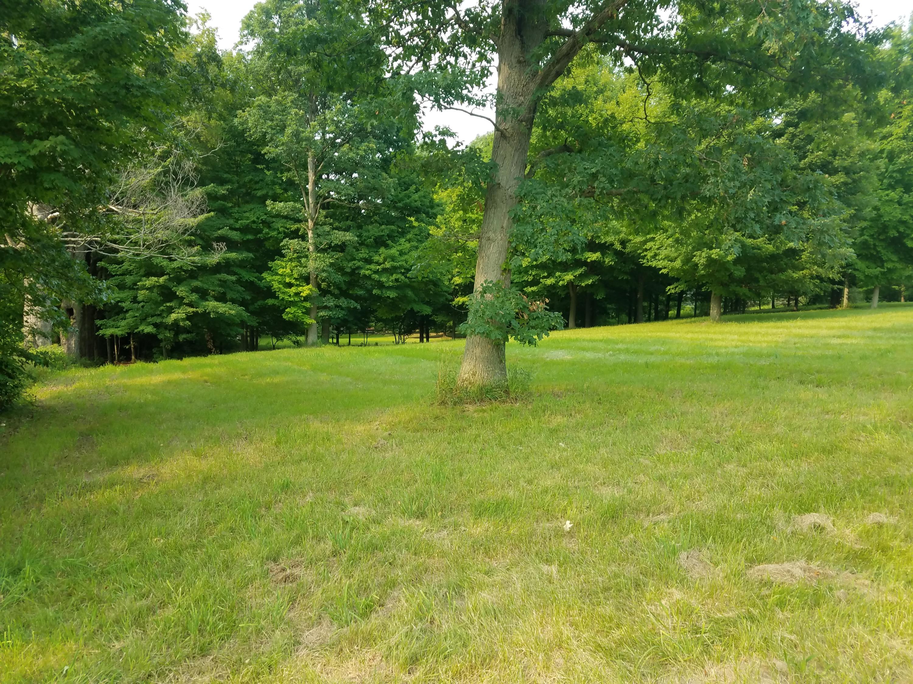 8 Mullen Ridge Drive Delton, MI 49046 - Photo 31 of 32 20210728_172159
