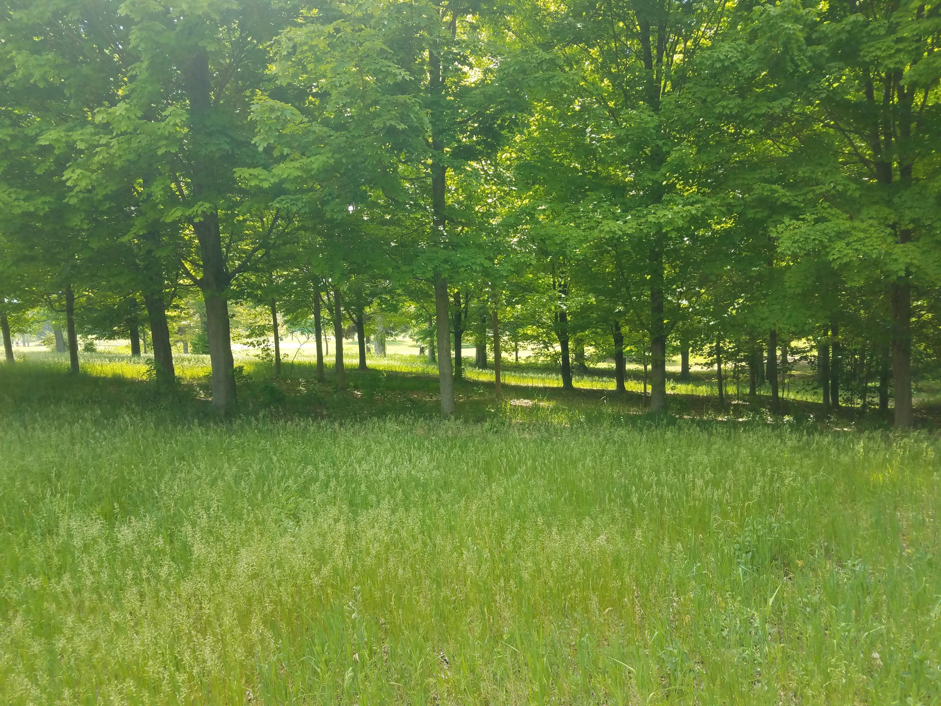 8 Mullen Ridge Drive Delton, MI 49046 - Photo 6 of 32 20210524_154237