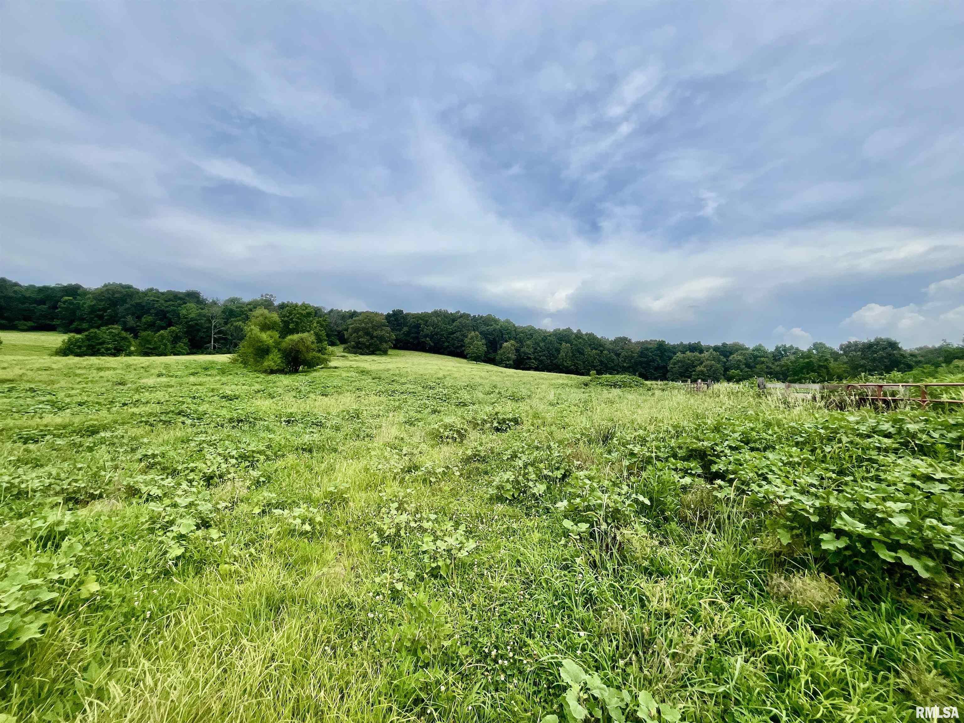 4155 Reevesville Road Grantsburg, IL 62943 - Photo 72 of 79 Gallery Image 72