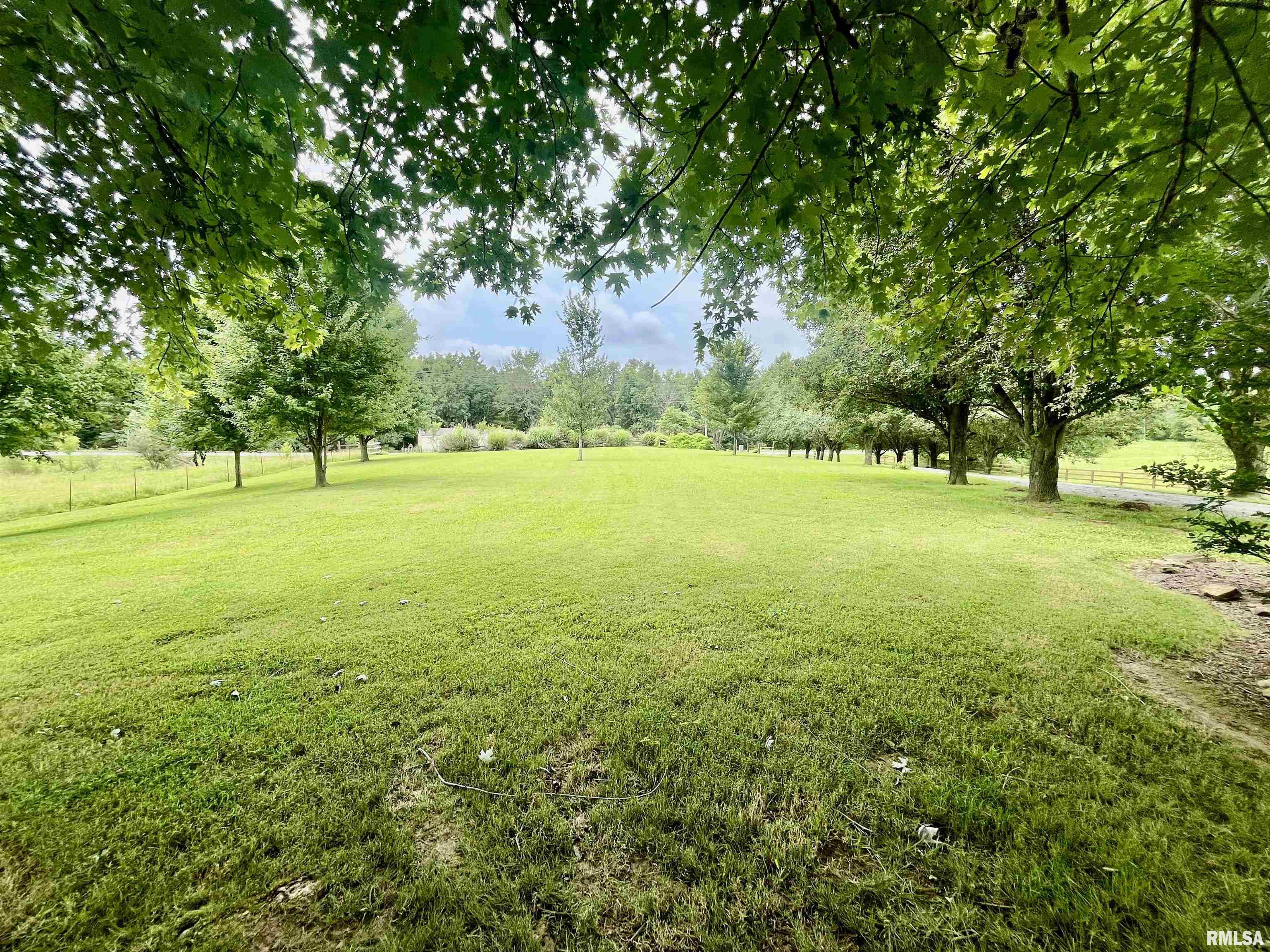 4155 Reevesville Road Grantsburg, IL 62943 - Photo 9 of 79 Gallery Image 9