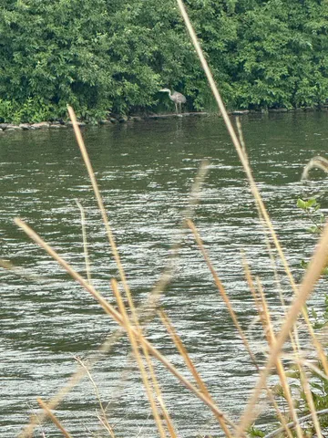 $105,000 | Salmon River Salmon River Meadows, Salmon, ID 83467