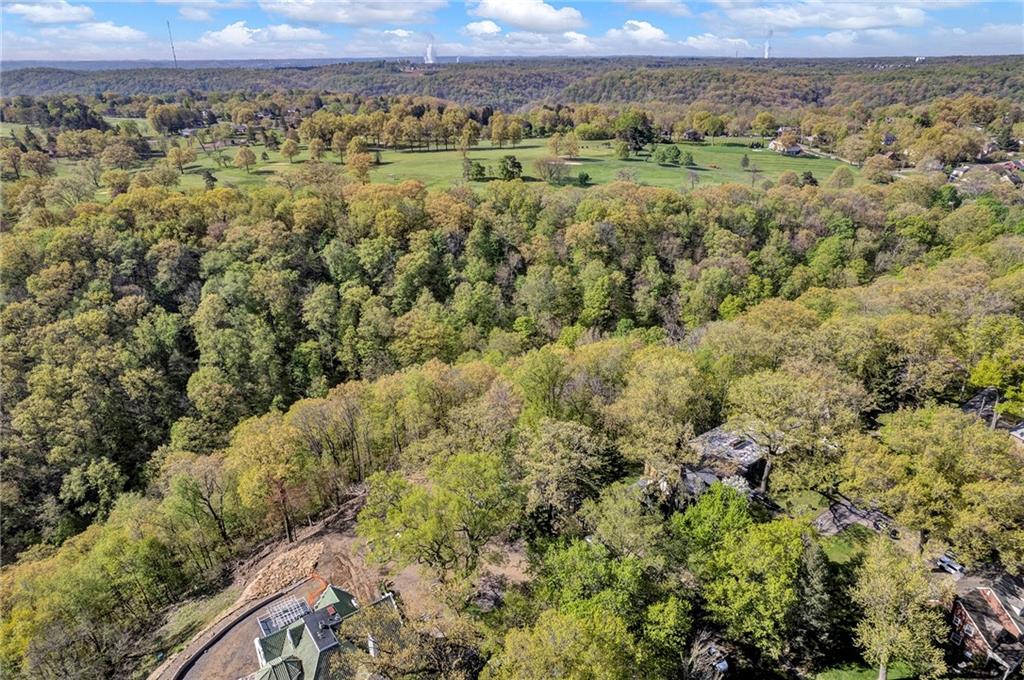 305 7th Street Beaver Falls, PA 15010 - Photo 9 of 37 a view of a city with lush green forest