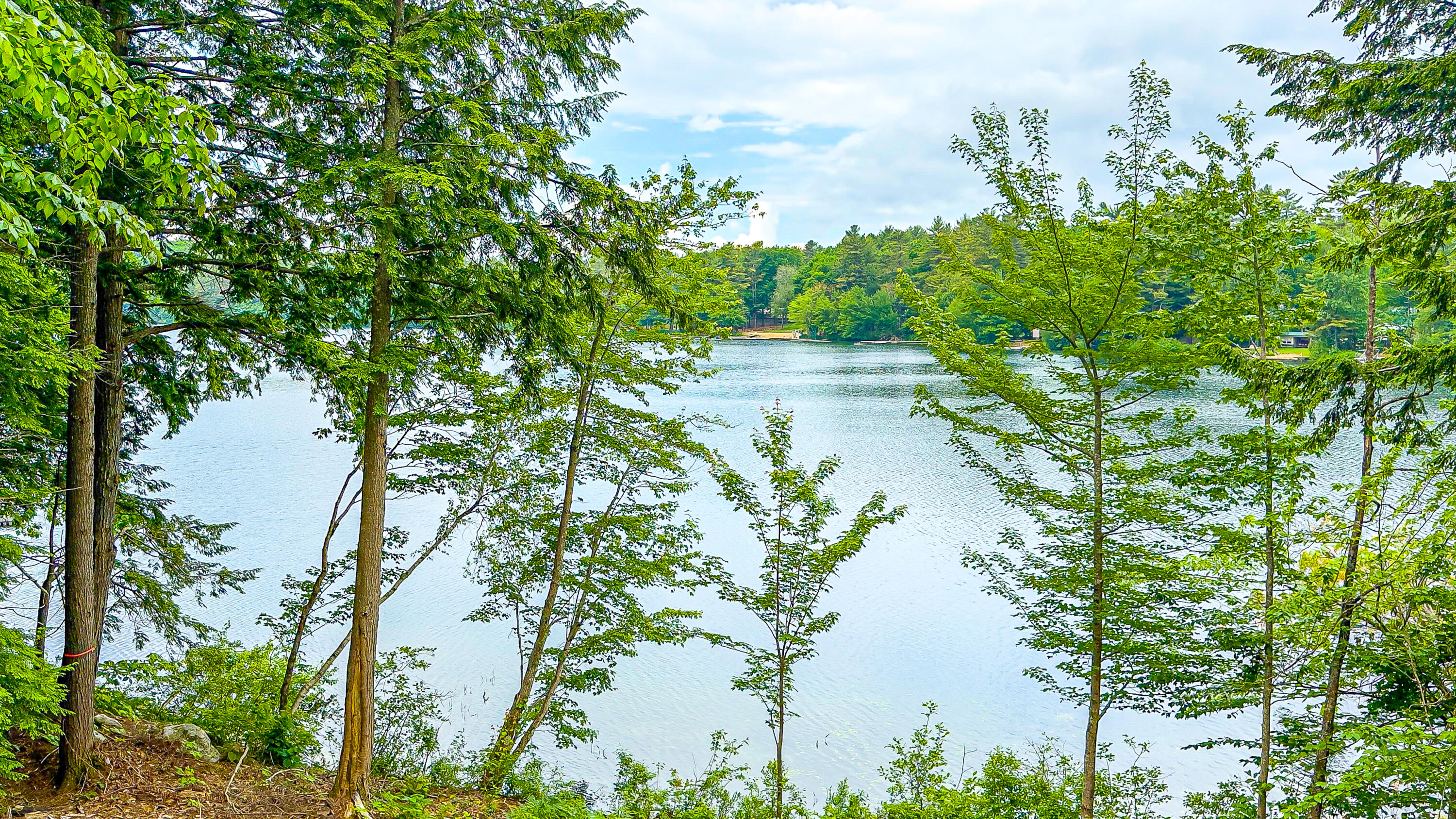 107 Coffee Pond Road Casco, ME 04015 - Photo 2 of 39 107 Coffee Pond 6-12-2024-16