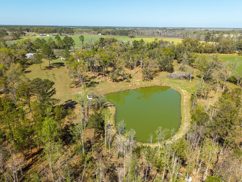 92 Purvis Lane Naylor, GA 31641 - Photo 67 of 80 Gallery Image 67