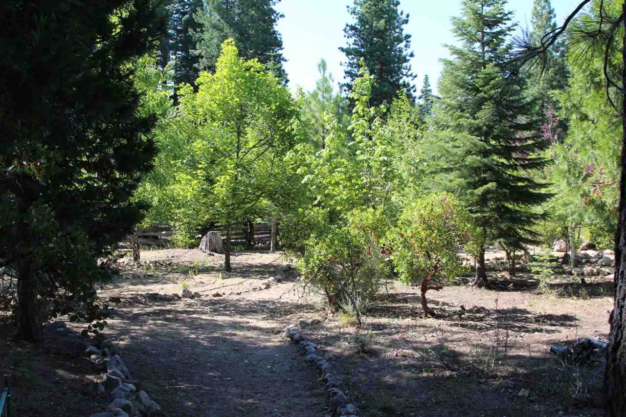 Lot 5 Davis Place Road Mount Shasta, CA 96067 - Photo 4 of 11 Gallery Image 4