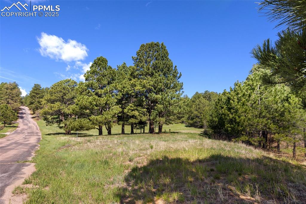 3560 Range View Road Monument, CO 80132 - Photo 11 of 23