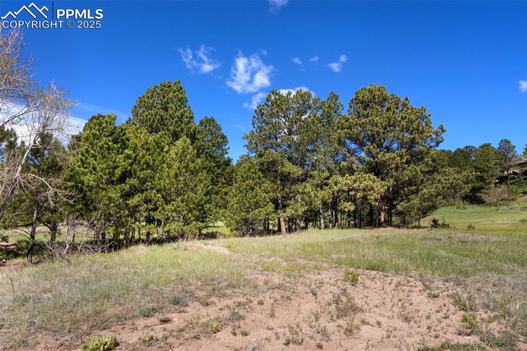 3560 Range View Road Monument, CO 80132 - Photo 12 of 23