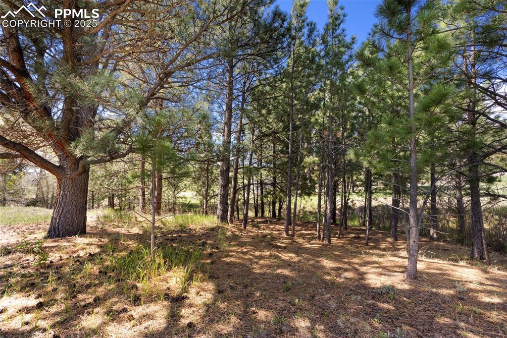 3560 Range View Road Monument, CO 80132 - Photo 13 of 23