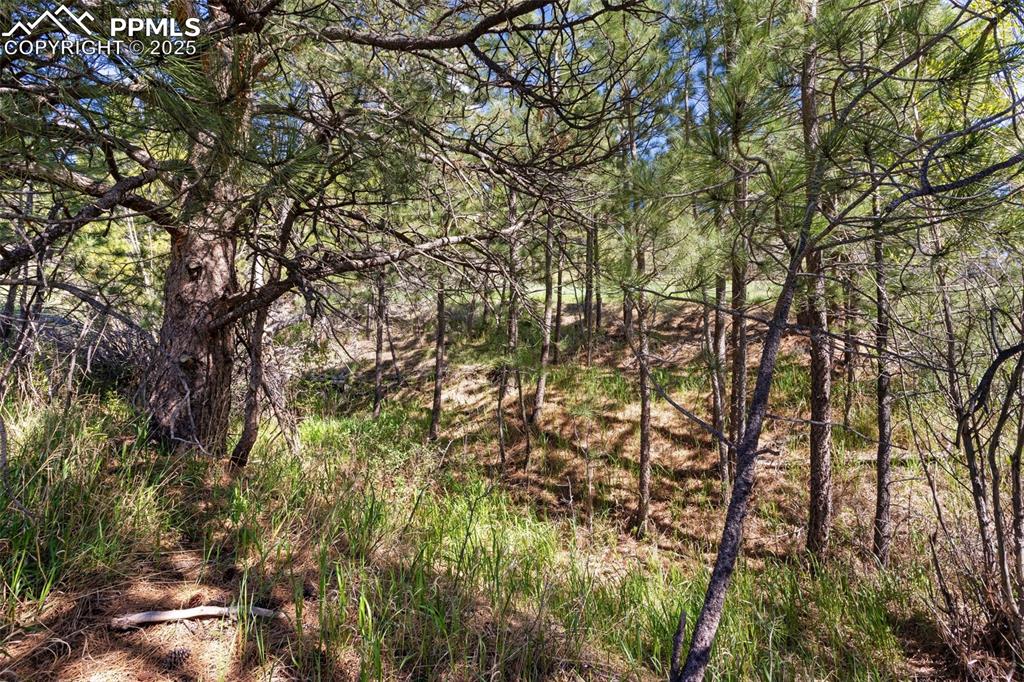 3560 Range View Road Monument, CO 80132 - Photo 14 of 23