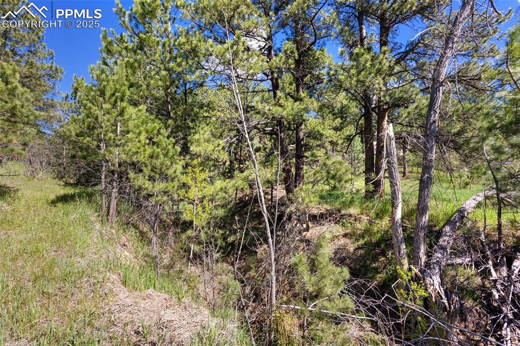 3560 Range View Road Monument, CO 80132 - Photo 15 of 23