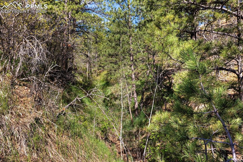 3560 Range View Road Monument, CO 80132 - Photo 16 of 23