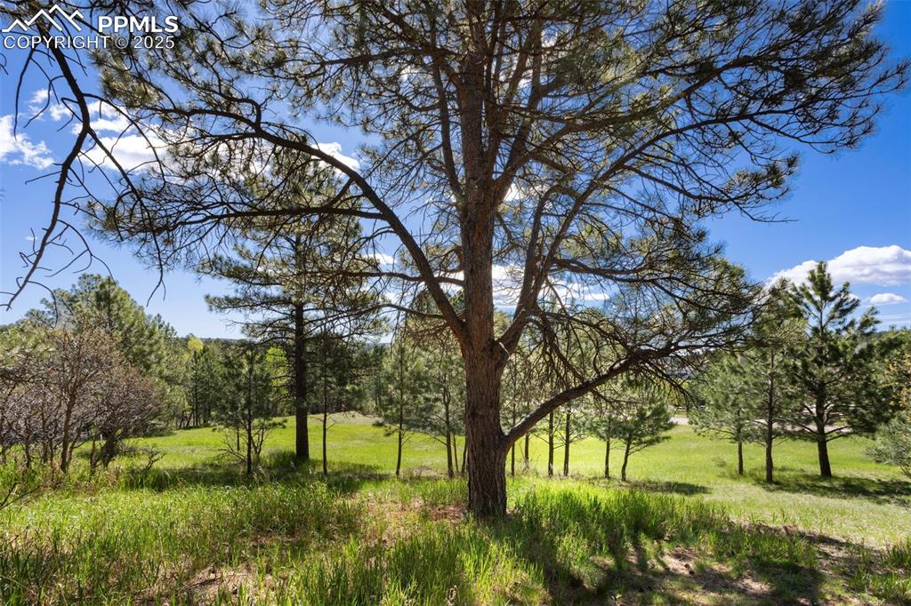 3560 Range View Road Monument, CO 80132 - Photo 17 of 23