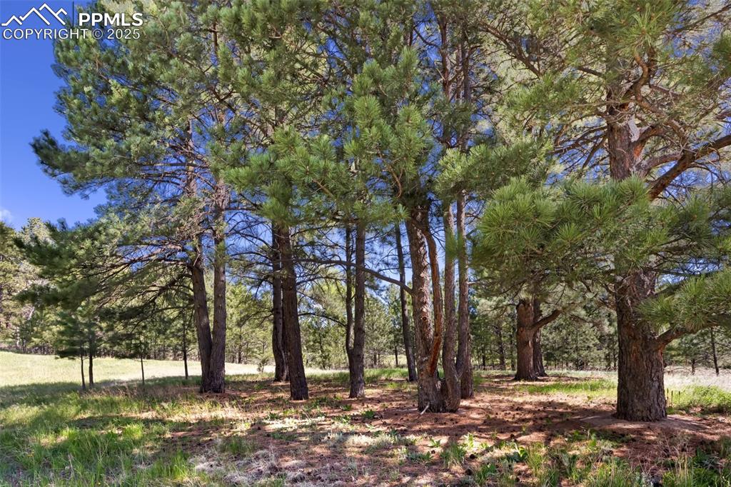 3560 Range View Road Monument, CO 80132 - Photo 19 of 23