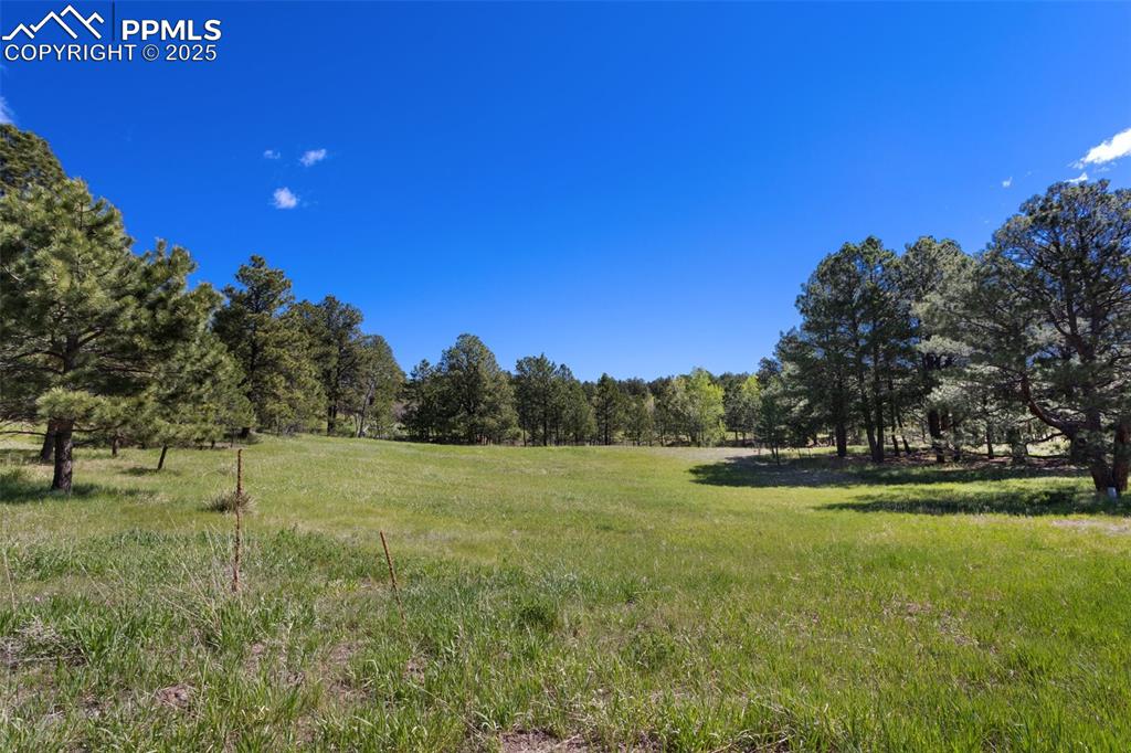 3560 Range View Road Monument, CO 80132 - Photo 4 of 23