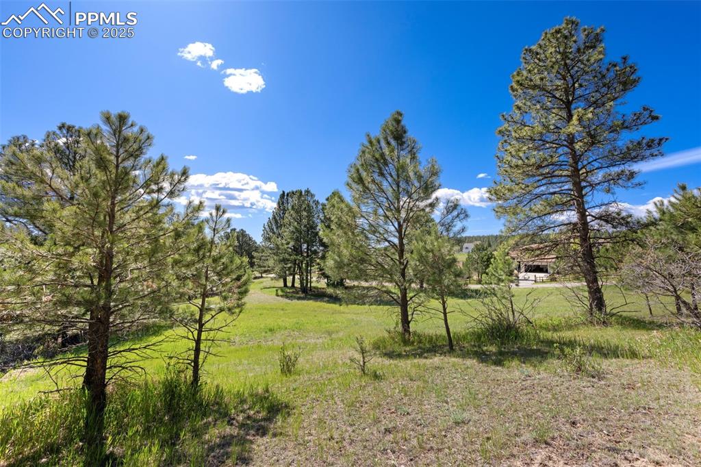 3560 Range View Road Monument, CO 80132 - Photo 6 of 23