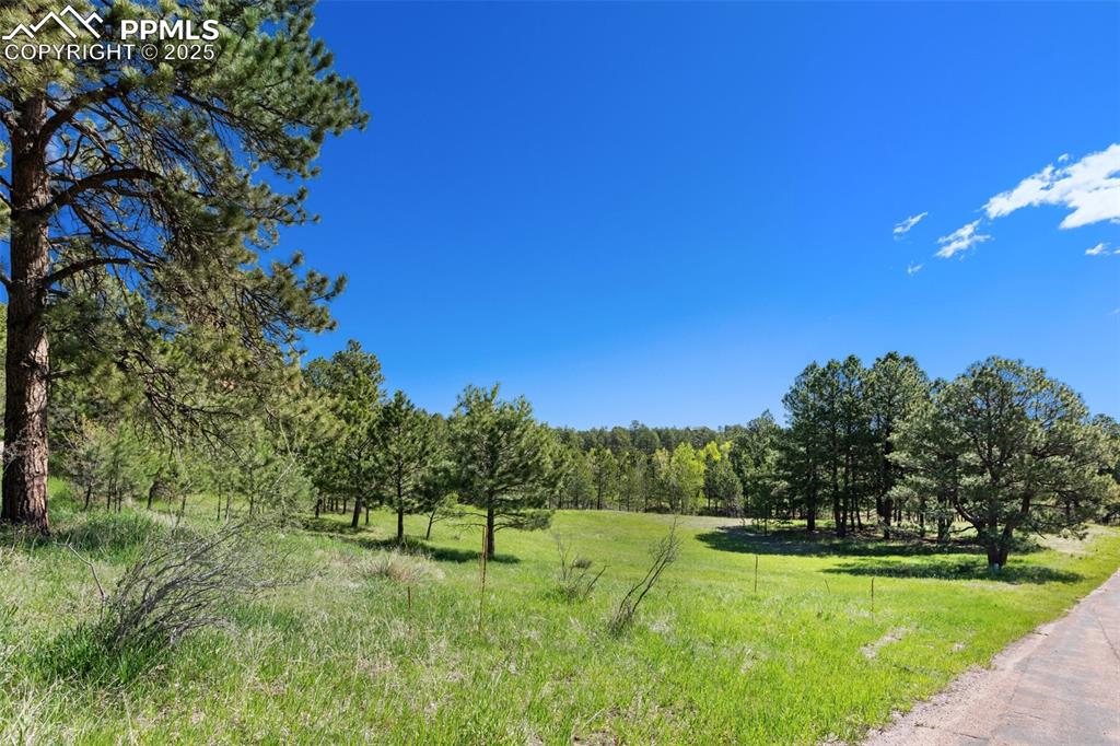 3560 Range View Road Monument, CO 80132 - Photo 8 of 23