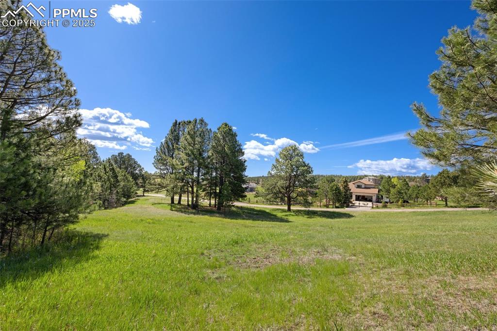 3560 Range View Road Monument, CO 80132 - Photo 9 of 23