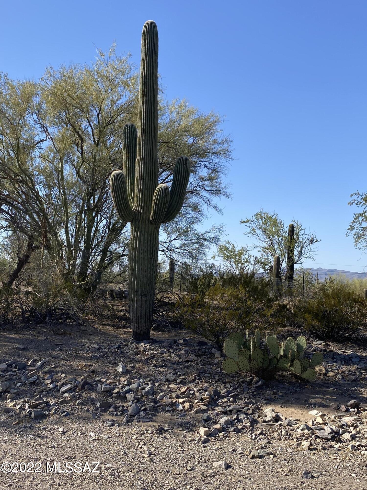 6285 West Ina Road, Unit 1 Tucson, AZ 85743 - Photo 7 of 37 Gallery Image 7