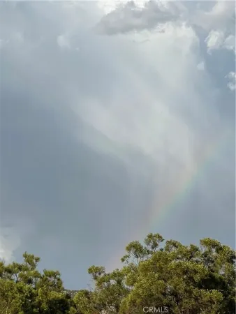 a view of a plant with a yard