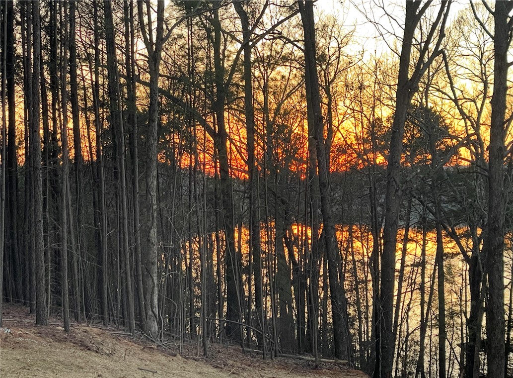 466 Overlook Drive, Unit LOT 14 Fair Play, SC 29643 - Photo 2 of 9