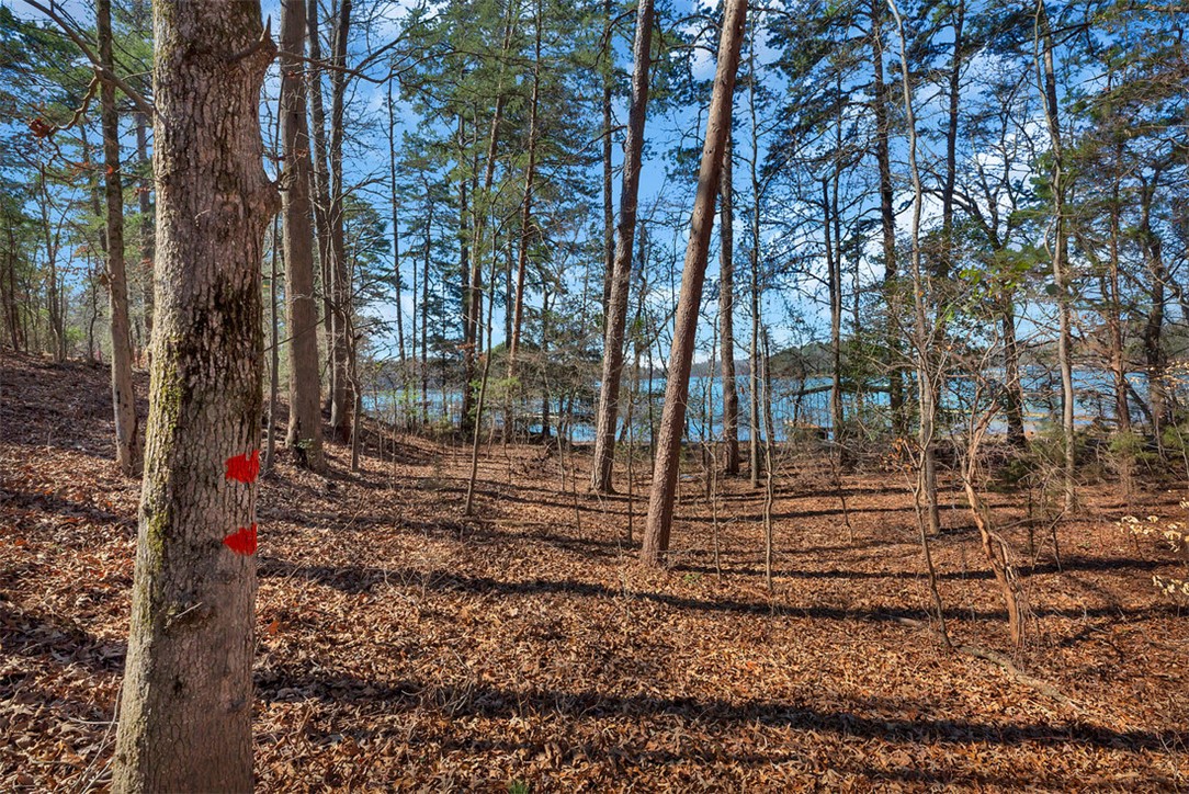 466 Overlook Drive, Unit LOT 14 Fair Play, SC 29643 - Photo 5 of 9