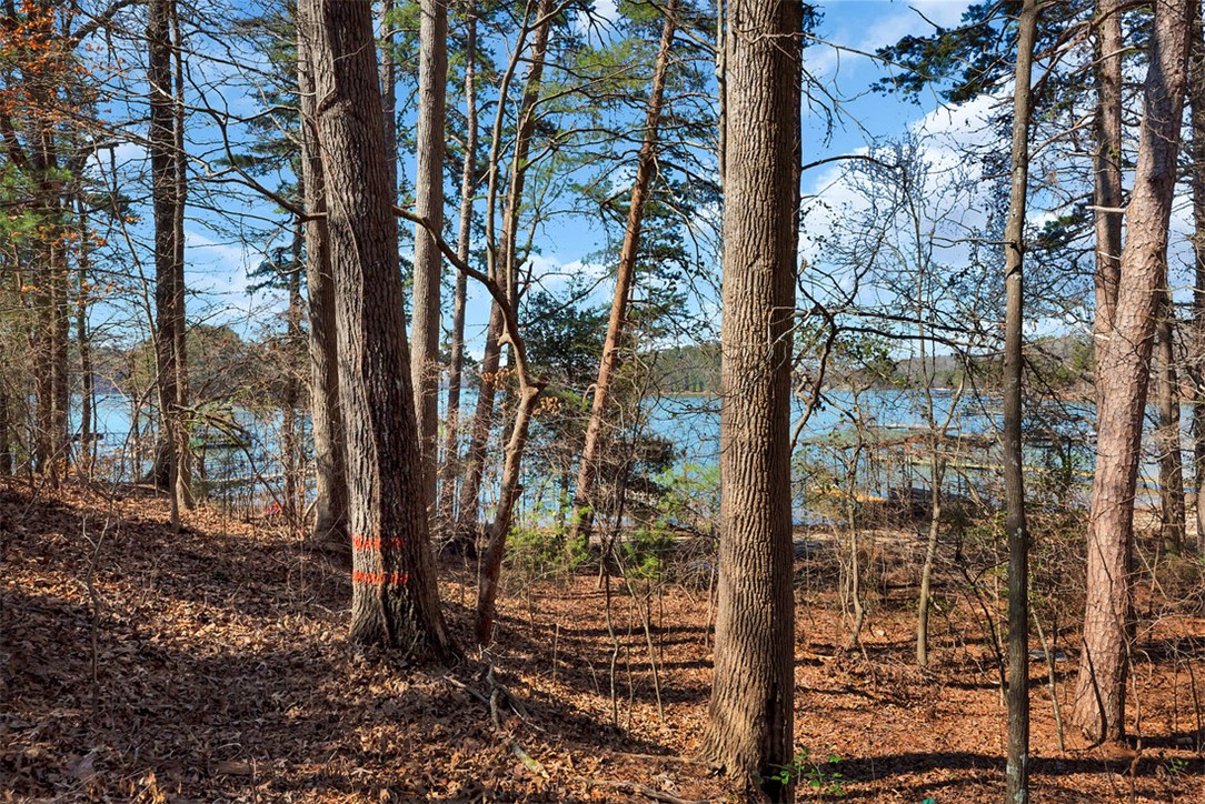 466 Overlook Drive, Unit LOT 14 Fair Play, SC 29643 - Photo 6 of 9